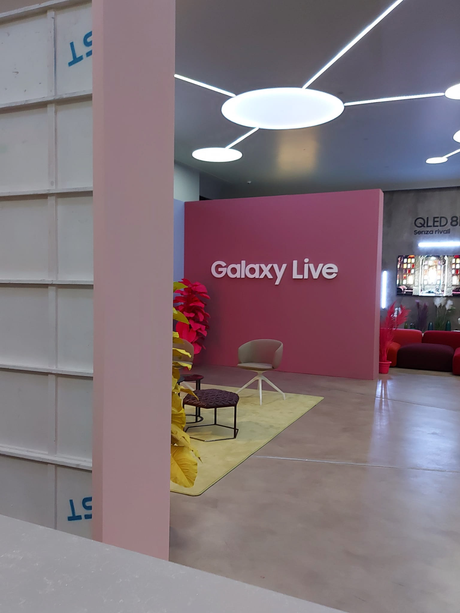 加拉·伊直播购物丨AlgeriaMila丨@Samsung District-19