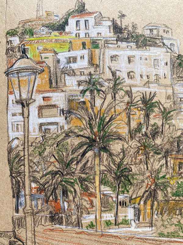 世界上的树木丨Sylvie D.-7