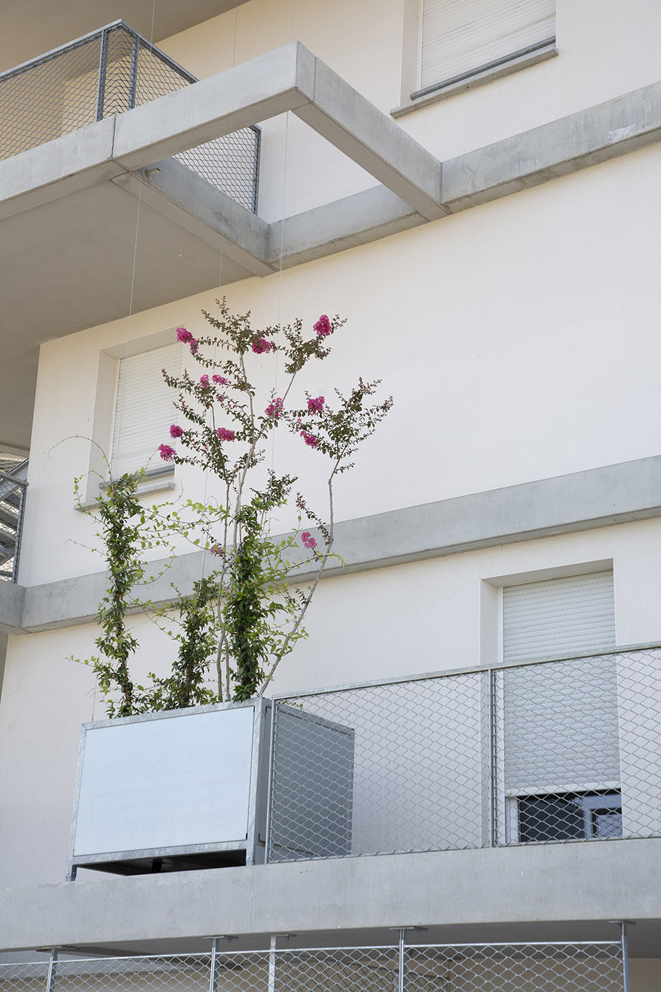 Toulouse ZAC SaintMartin 住宅楼丨法国图卢兹丨Aldric Beckmann Architectes-83