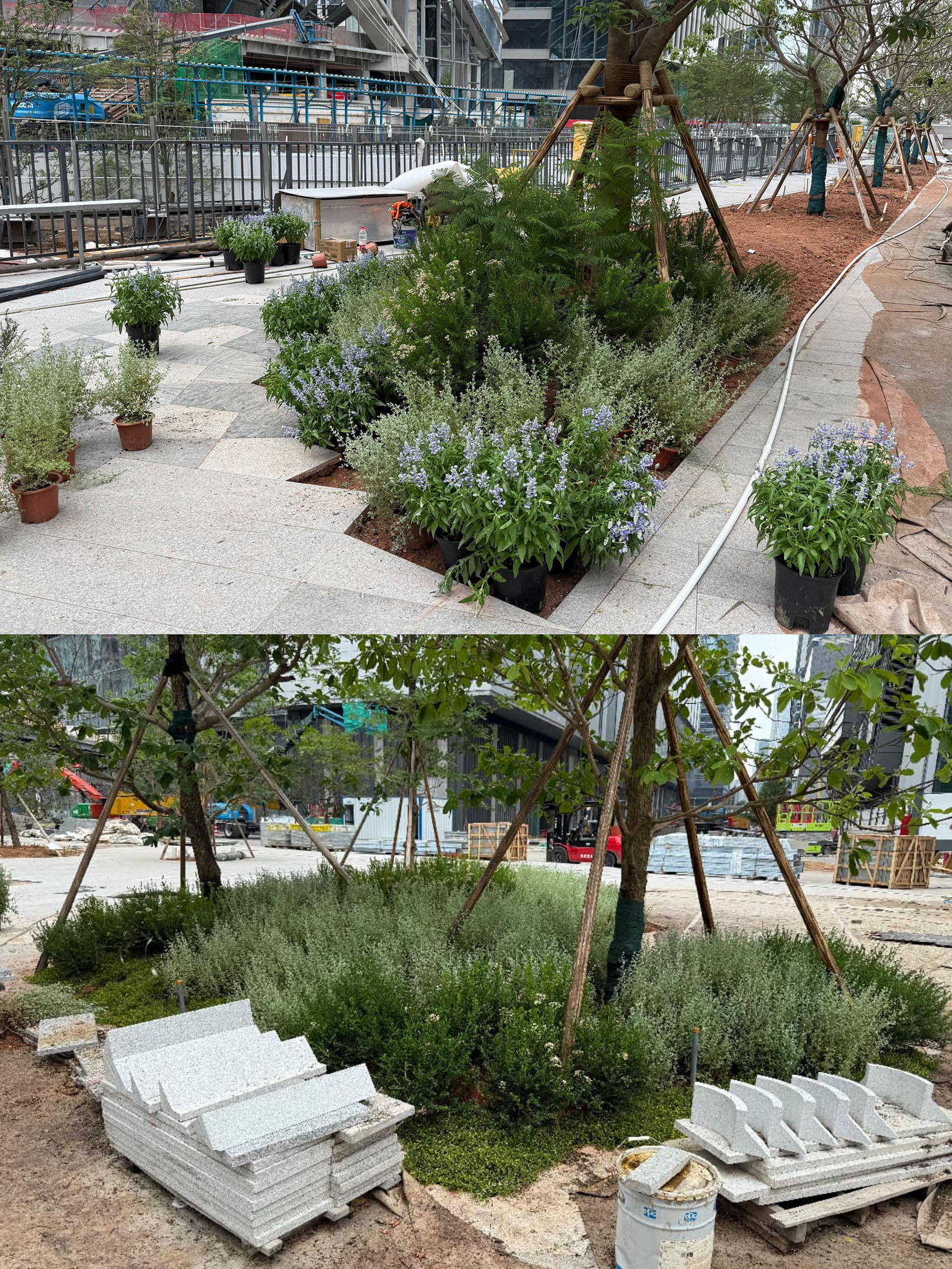 深圳湾万象城二期丨中国深圳丨iPD,grant associates,OVAL等多家-163