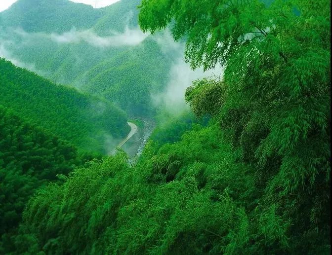 安吉竹海中的返璞归真——大家·金麟府 Golden 生活美学馆-2