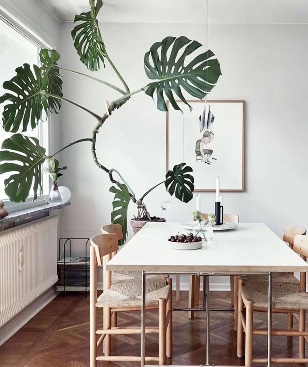 绿植搭配家居,打造夏日清凉空间-50