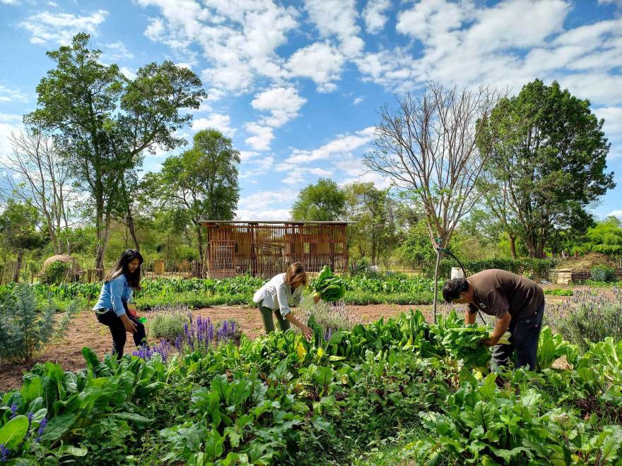 社区附加值中心,CIMBRA丨阿根廷-19