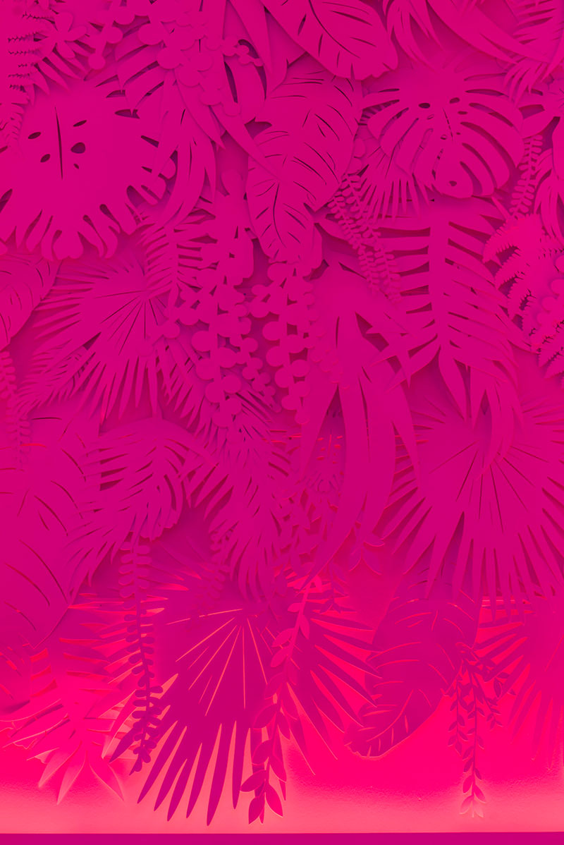 夏威夷 Shoreline 酒店-23