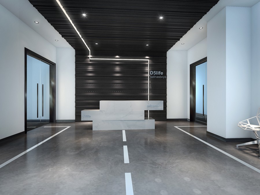 浦东金桥外贸公司办公室——现代简约风格的空间设计-3