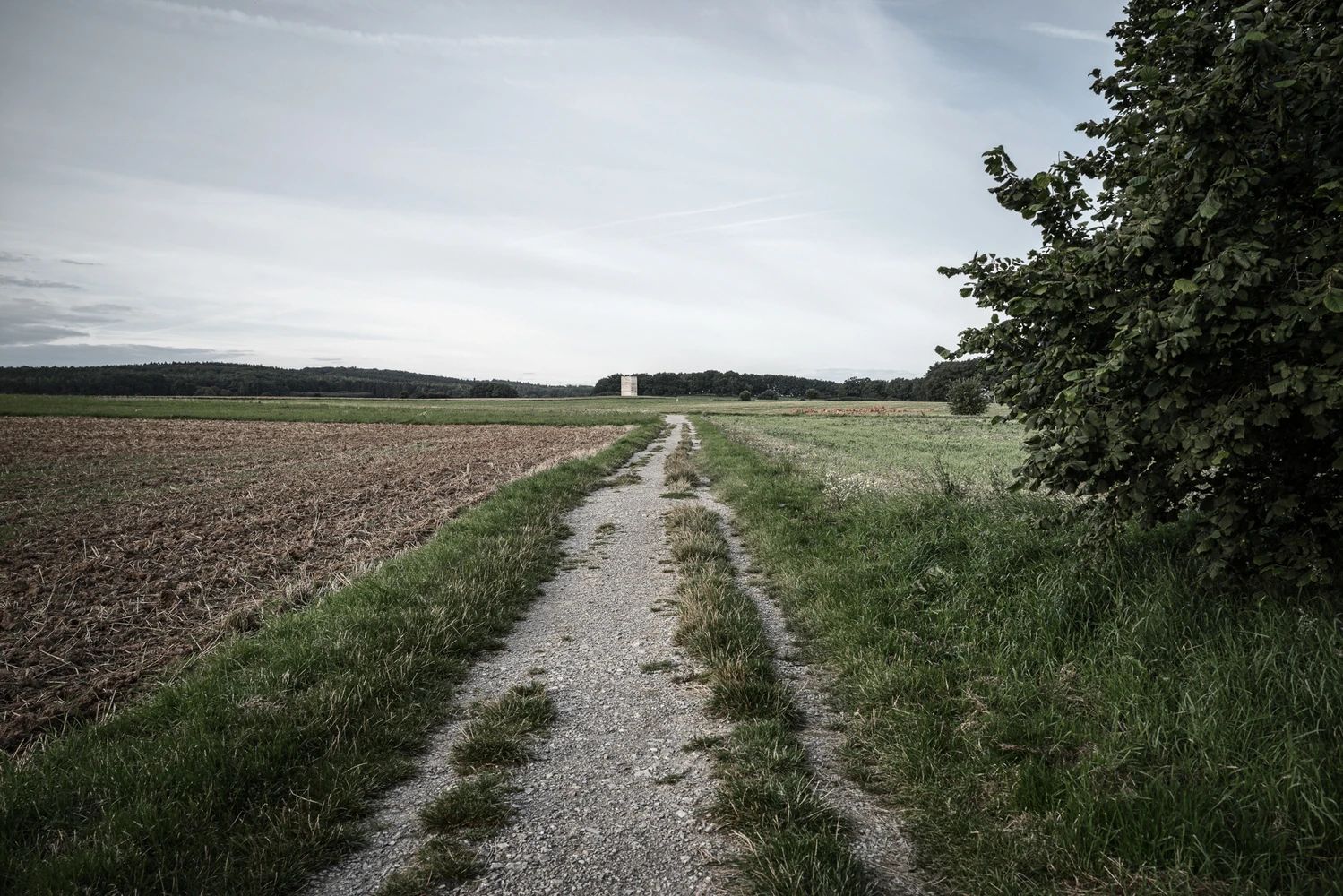 克劳斯兄弟田野教堂-3