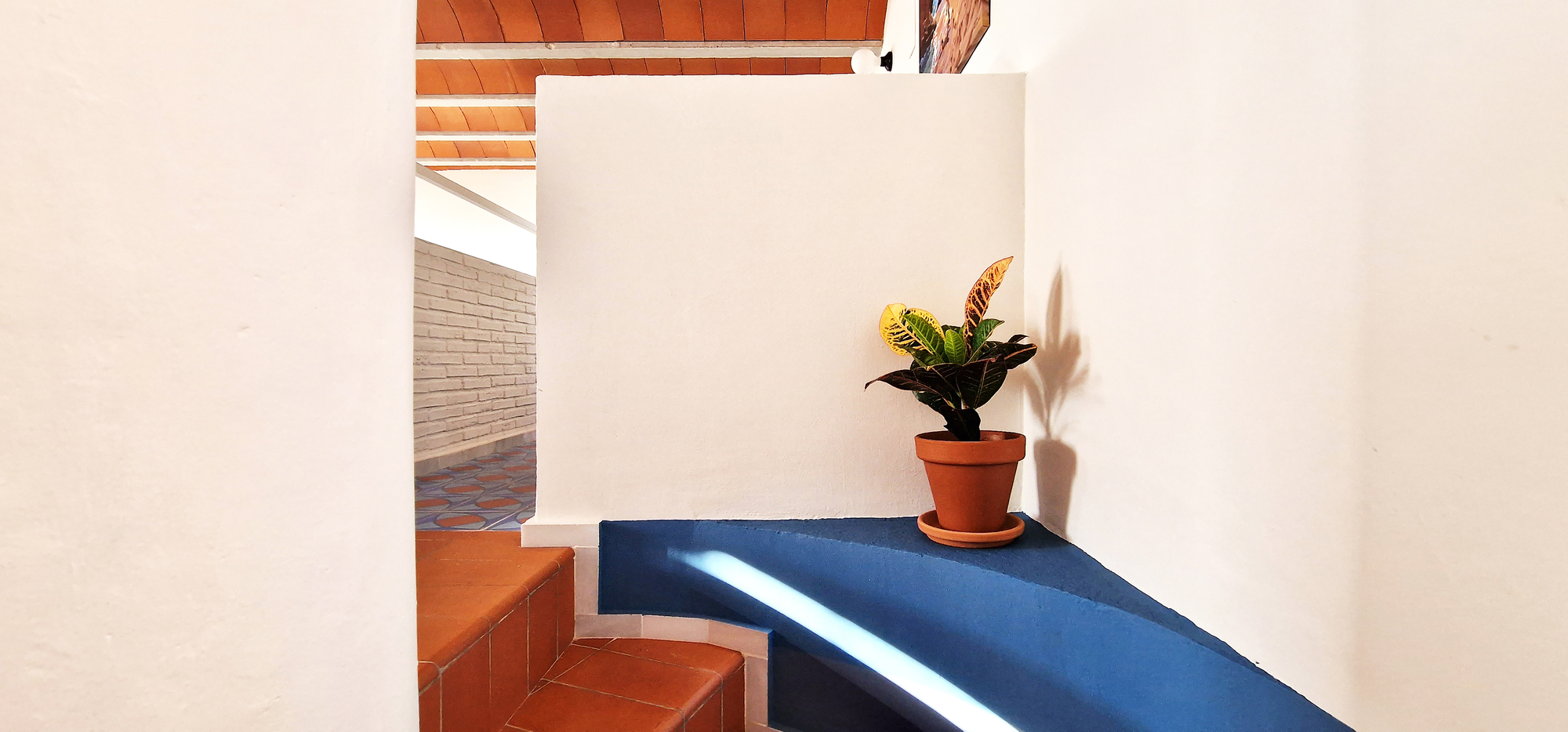 自由之家丨西班牙丨GRAO-38