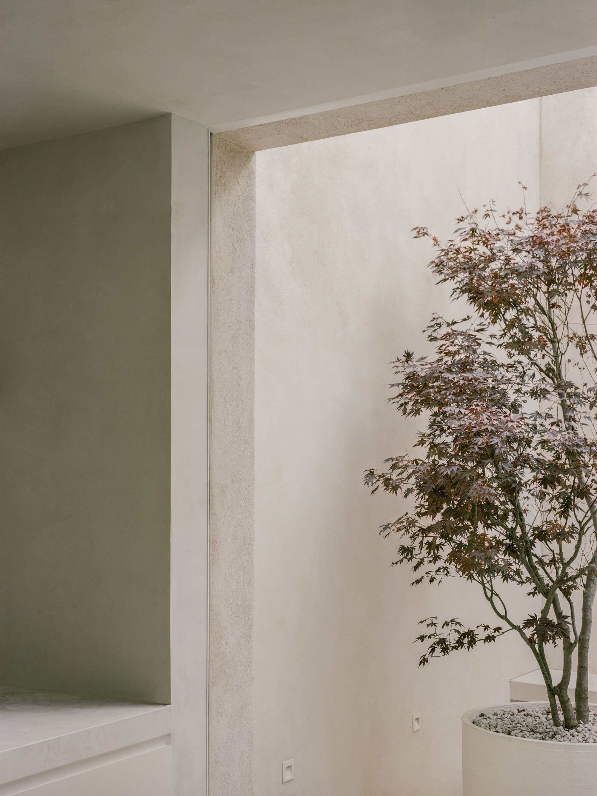 伊丽莎白·缪斯宅邸丨英国伦敦丨Trewhela Williams-30