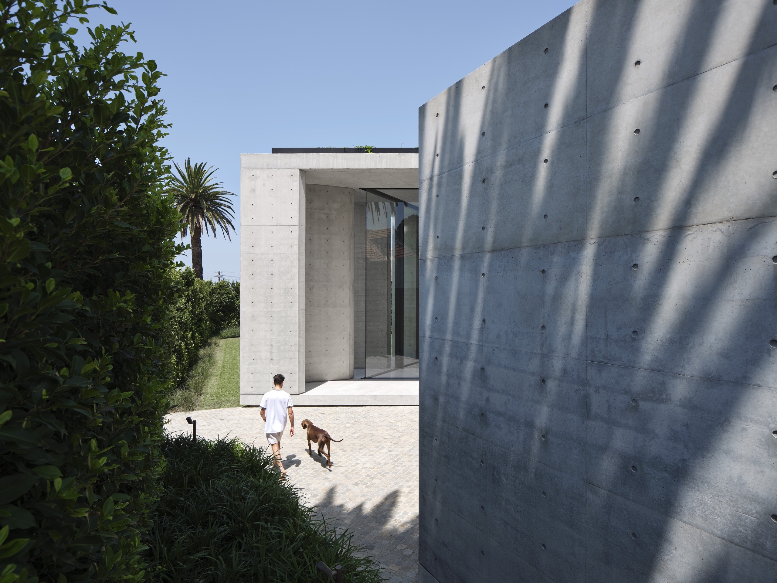 杨梅智能设计工作室

注：Arbutus常见释义为杨梅属植物，这里结合语境按杨梅理解进行翻译 丨澳大利亚悉尼-0