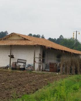 江西吉安市青原山景区农禅苑