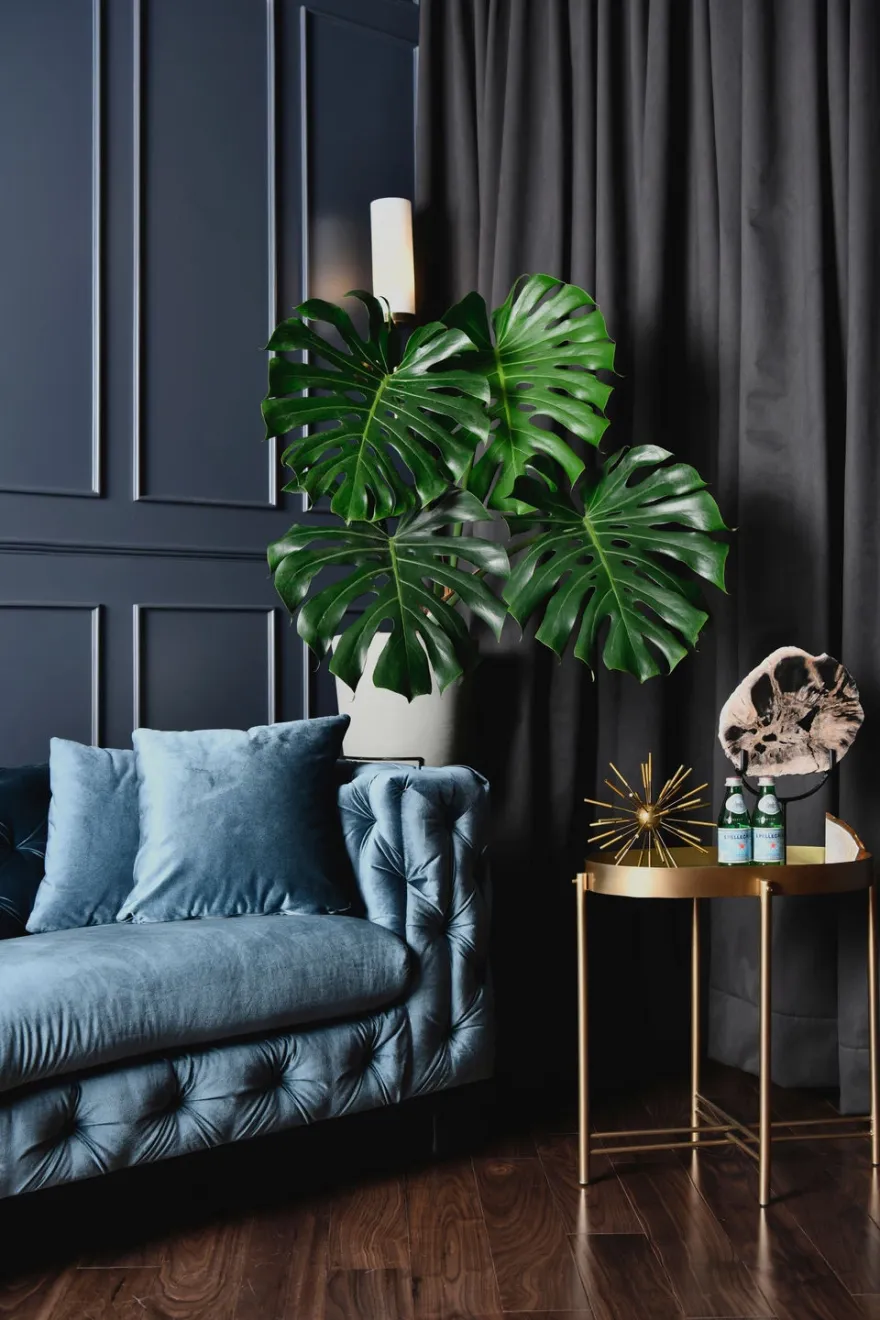 暗黑之魅 · 印度 Kannur 双高卧室设计-16