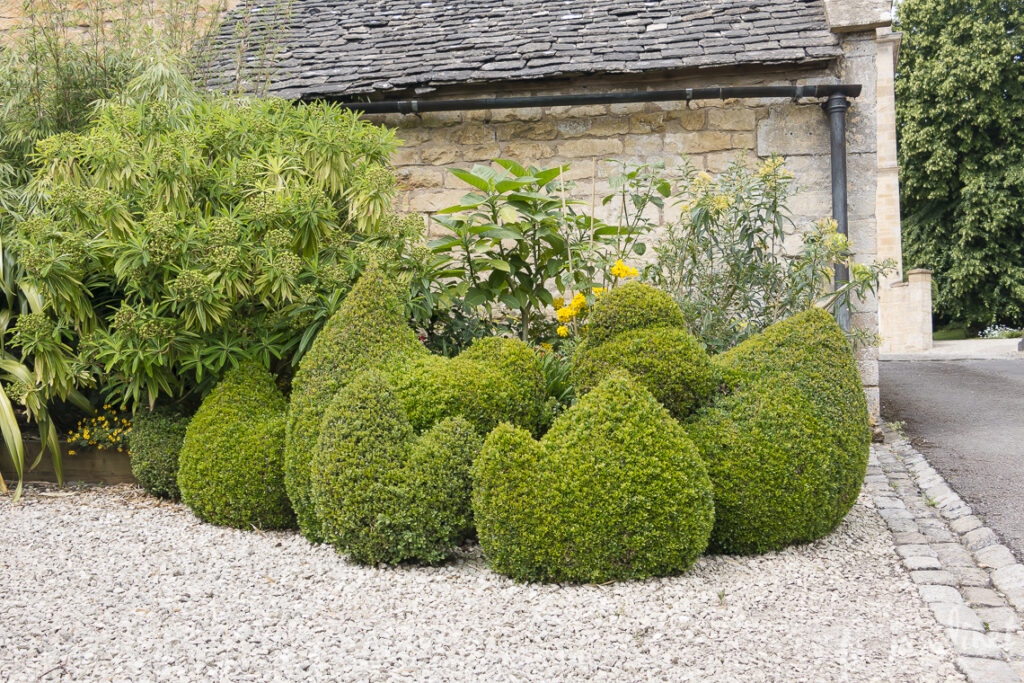 Bourton House Garden（伯顿豪斯花园）丨英国-36