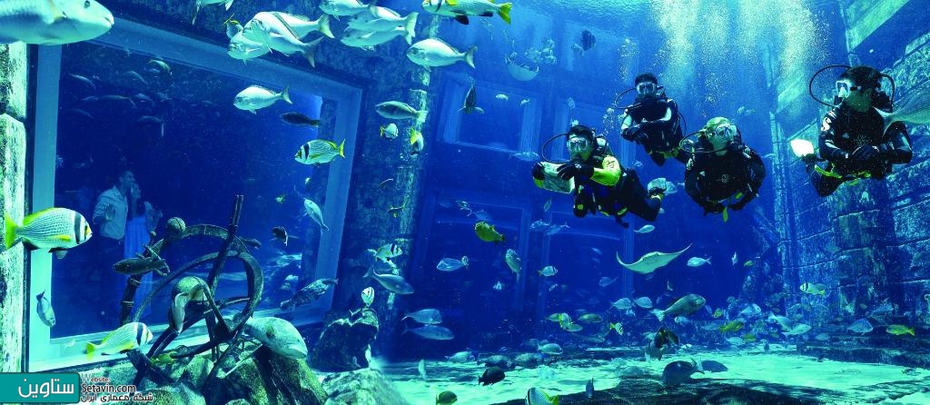 亚特兰蒂斯酒店（Atlantis The Palm）丨阿联酋迪拜-31