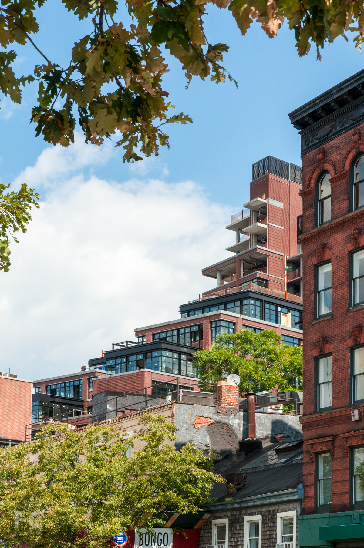 150 Charles  — FIELD CONDITION-4