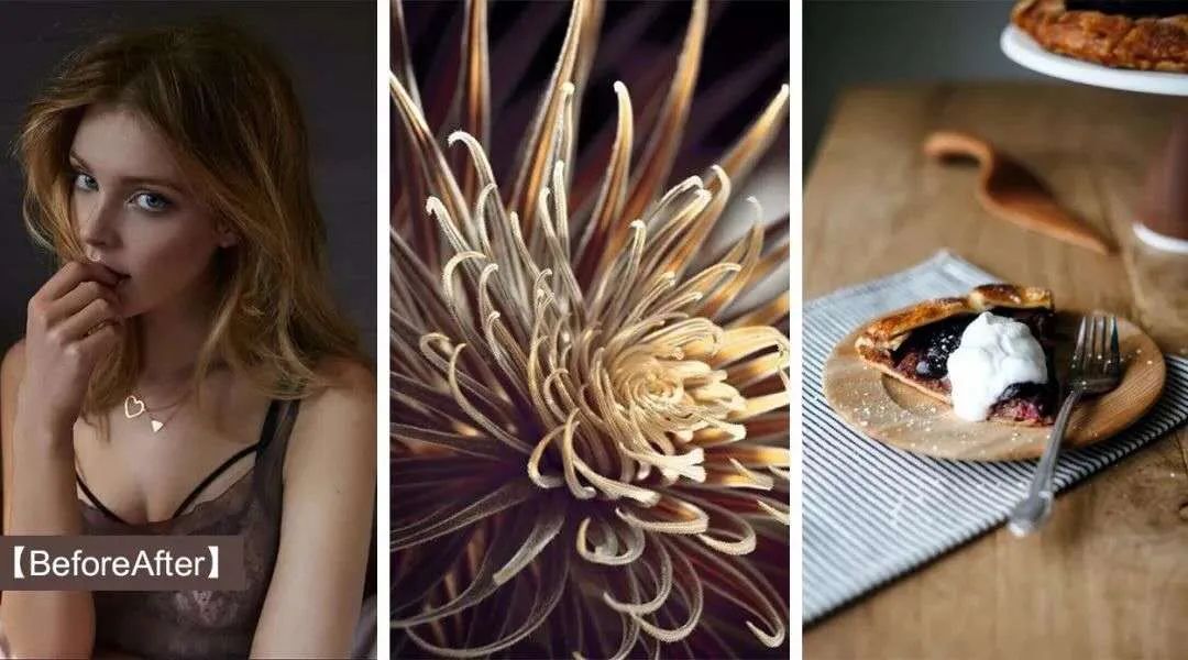 龙庭设计东悦府·紫藤萝-1