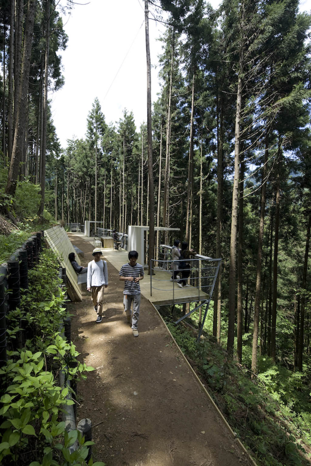 奥多摩森林疗法之路丨日本东京-22