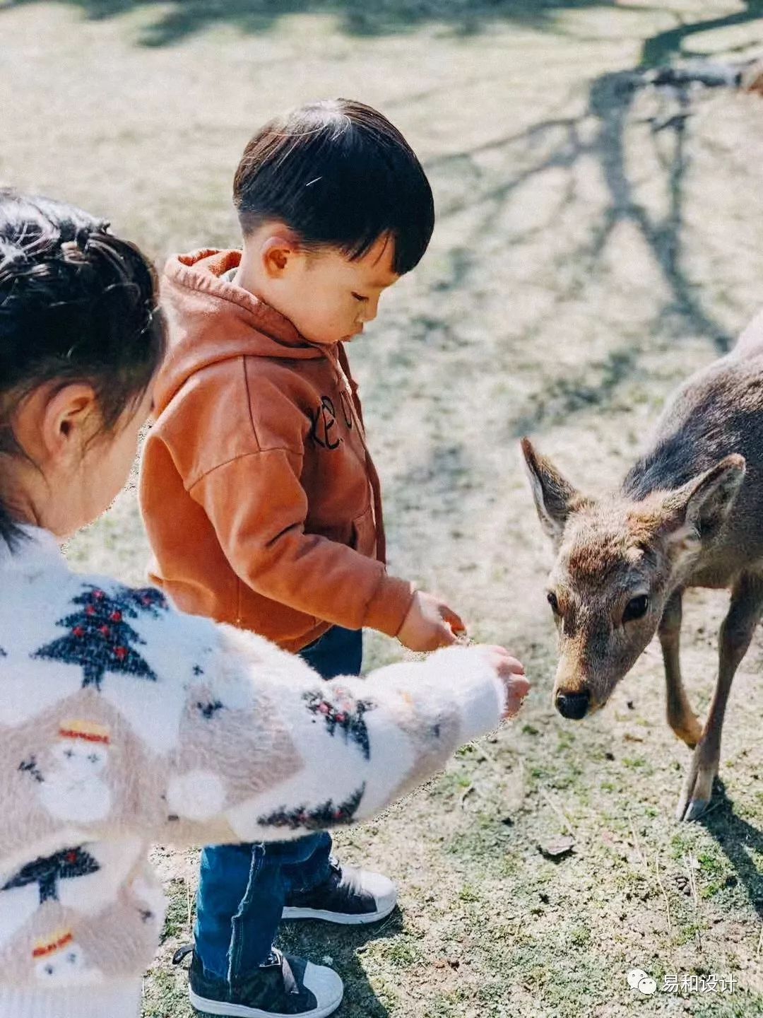 日本关西设计之旅，感受传统与现代的碰撞-40