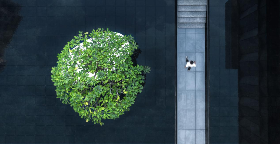 万科四季花城丨中国中山丨成都赛肯思创享生活景观设计股份有限公司-5