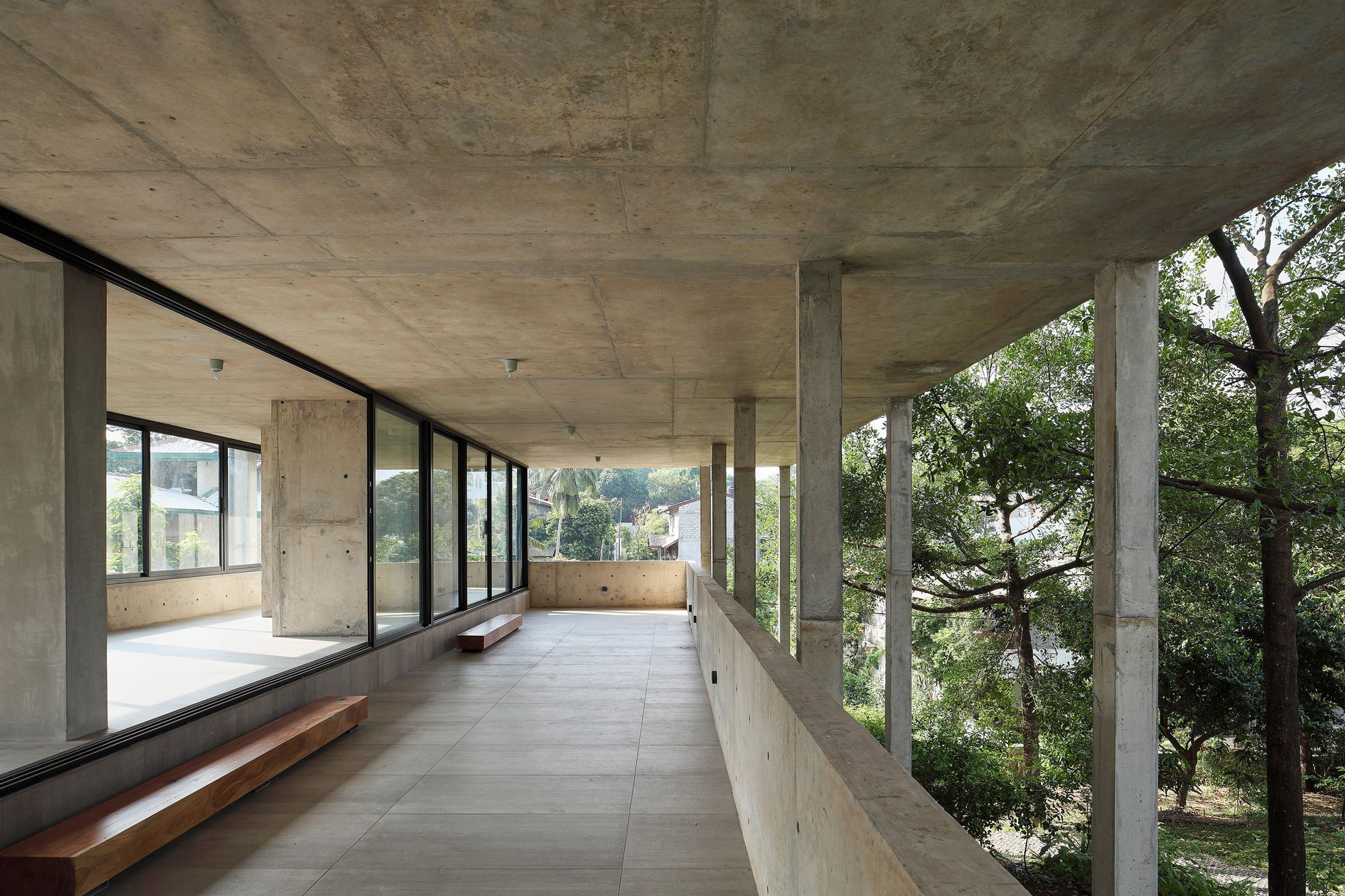 大树小植物屋丨Read Studio-27