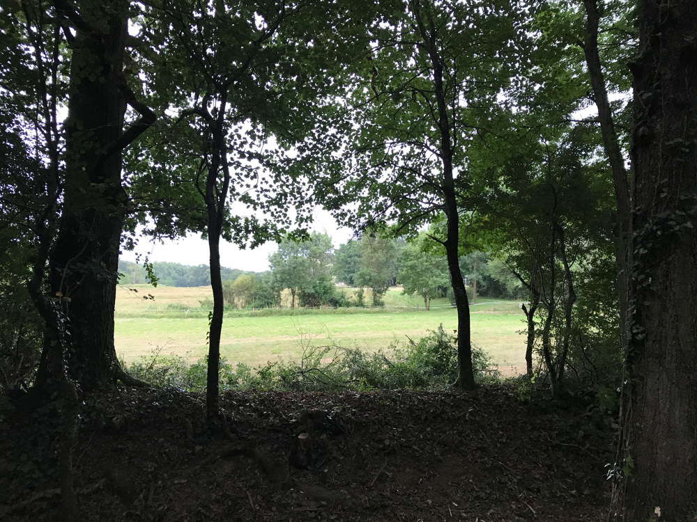 穿越 Boisbuchet 庄园的粉色线条-8