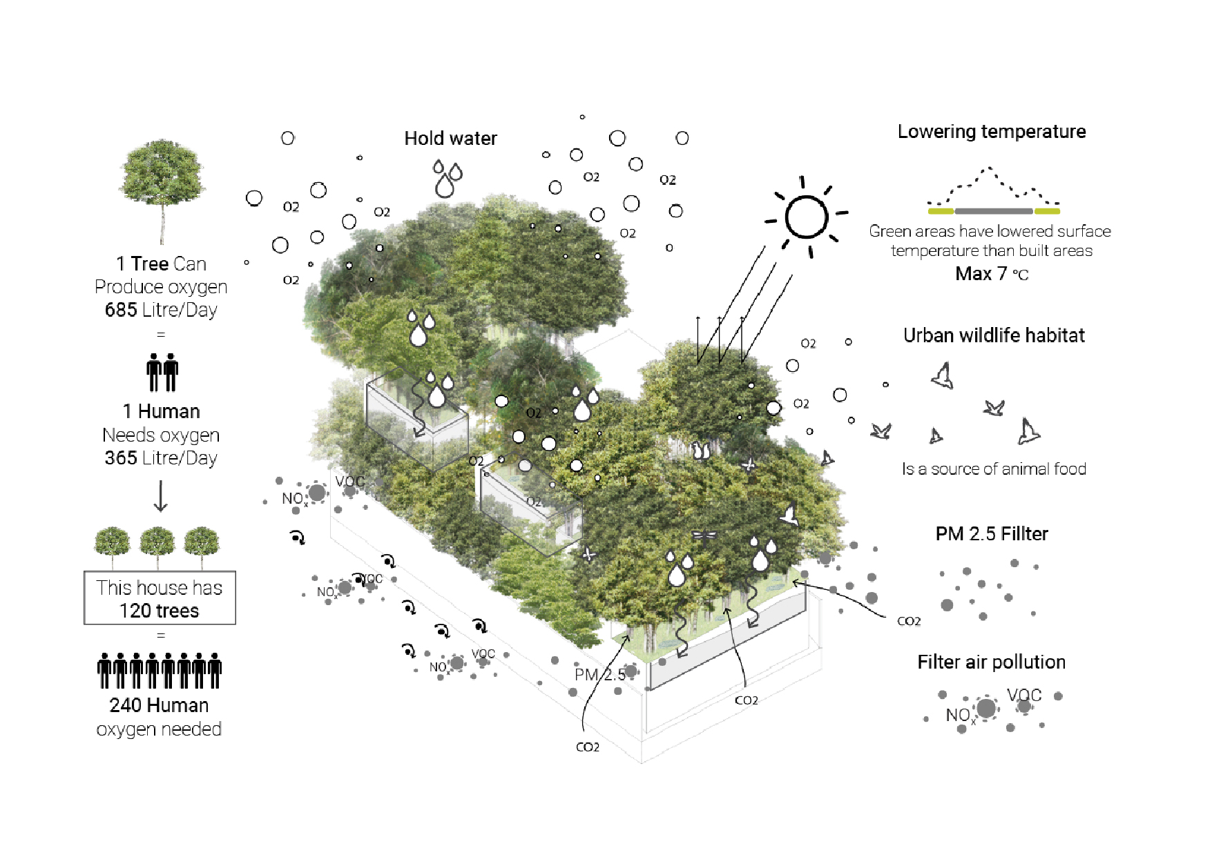 Forested House | Shma Company Limited-23