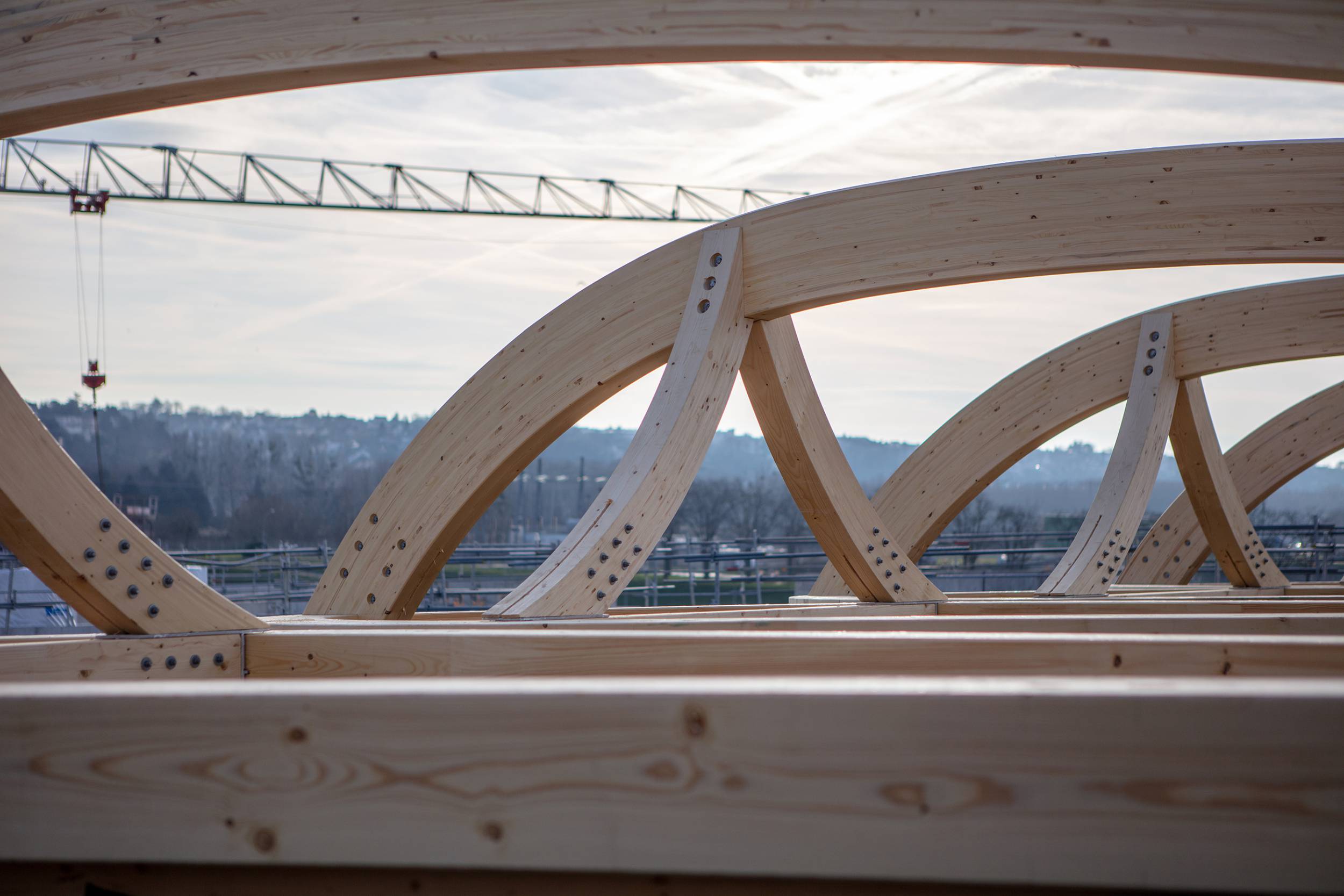 SIAAP塞纳河下游澄清絮凝单元新木结构项目丨Ateliers 2,3,4,,WSP,Span-16