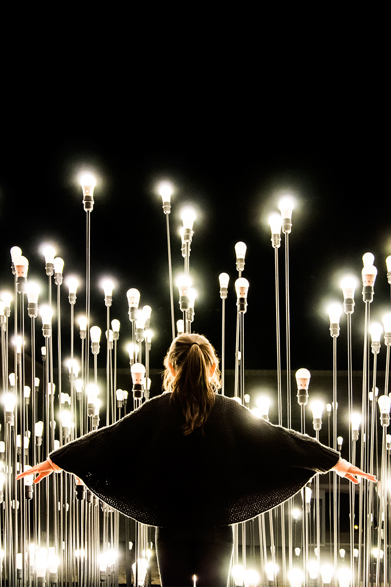 发光二极管景观-20