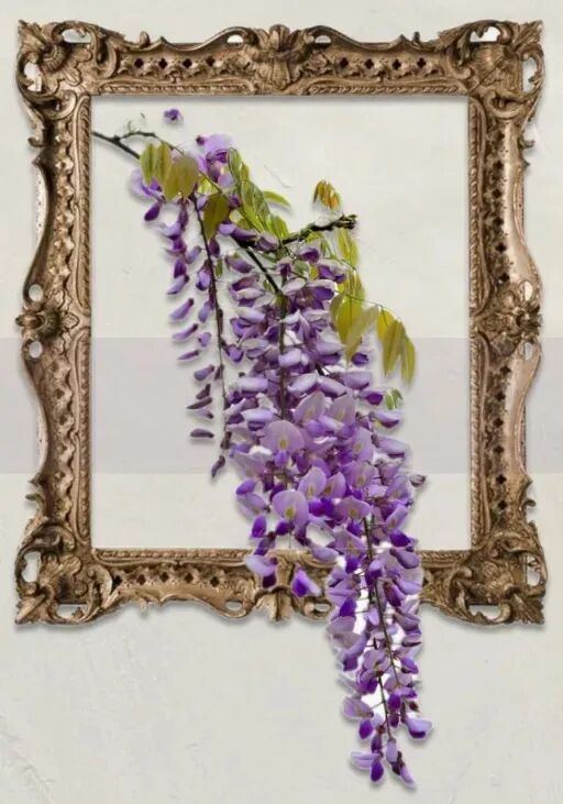 地产|“绿影摩登&花曼藤影”-85