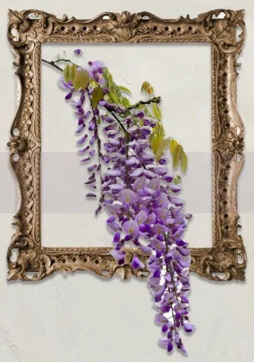 地产|“绿影摩登&花曼藤影”-85