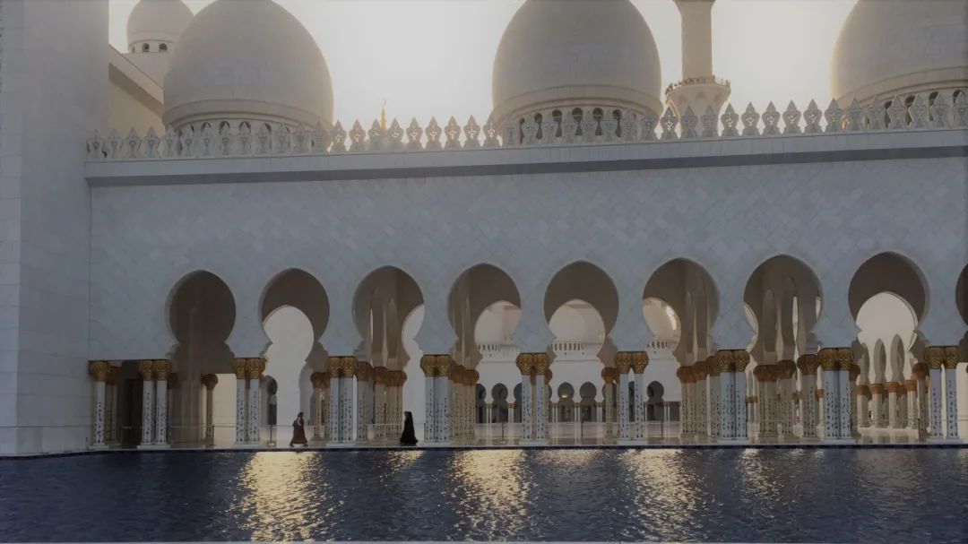 谢赫扎伊德清真寺 | 伊斯兰艺术与建筑的璀璨瑰宝-97