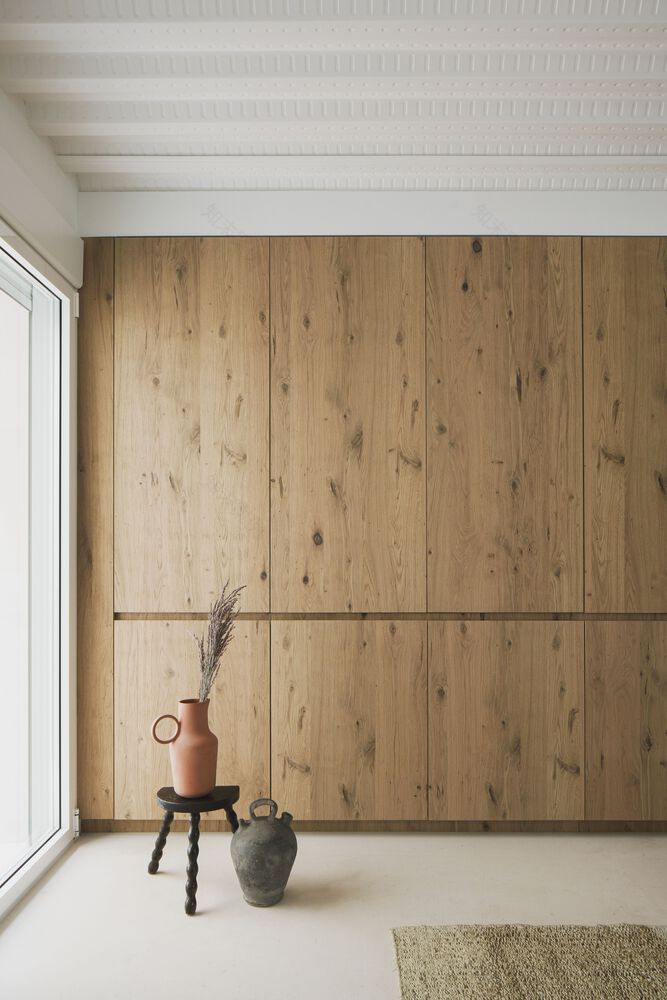 马德里 Quinta de Fuente del Berro 公园旁的历史建筑重生——Berro House-42