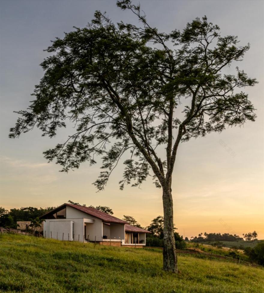 巴西绿色农场住宅-2