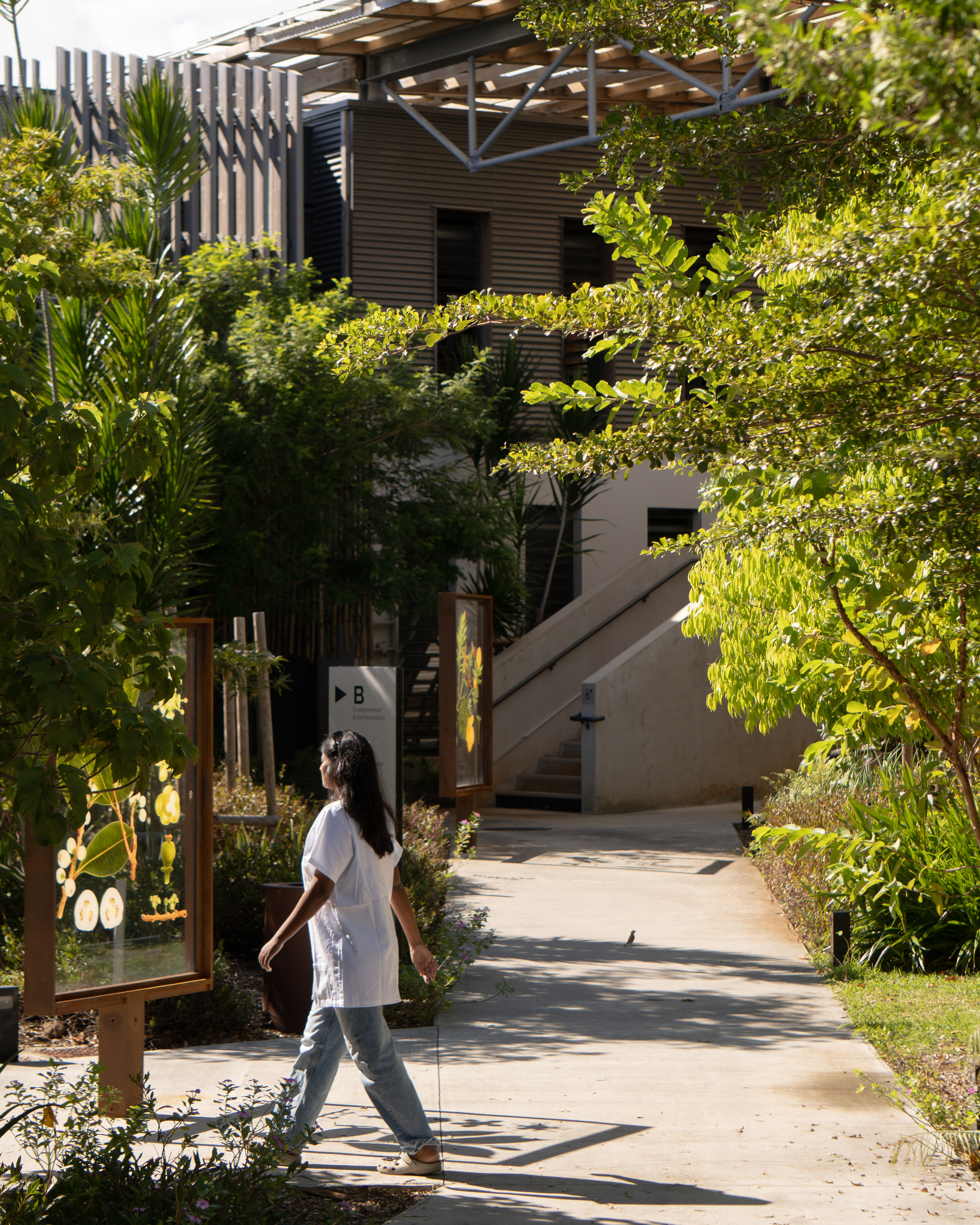 Health Sciences Faculty – University of La Réunion  / TT Architecture-44