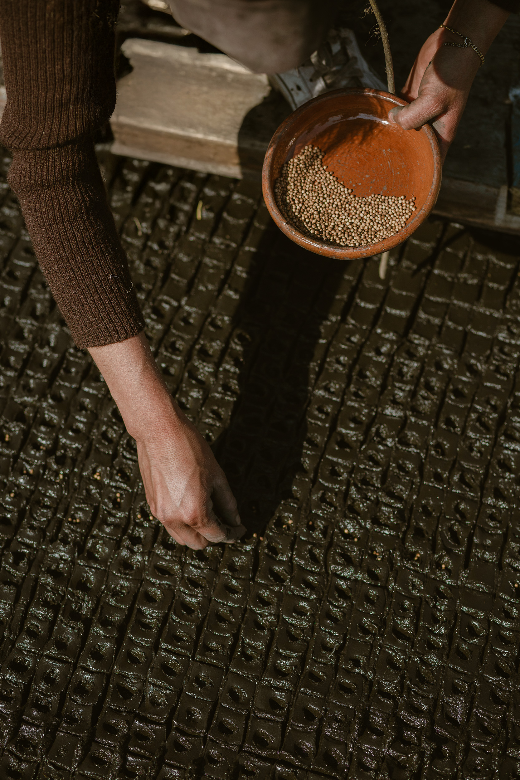 第 19 届威尼斯国际建筑双年展:墨西哥馆,探索古老农业系统的生态潜力-23