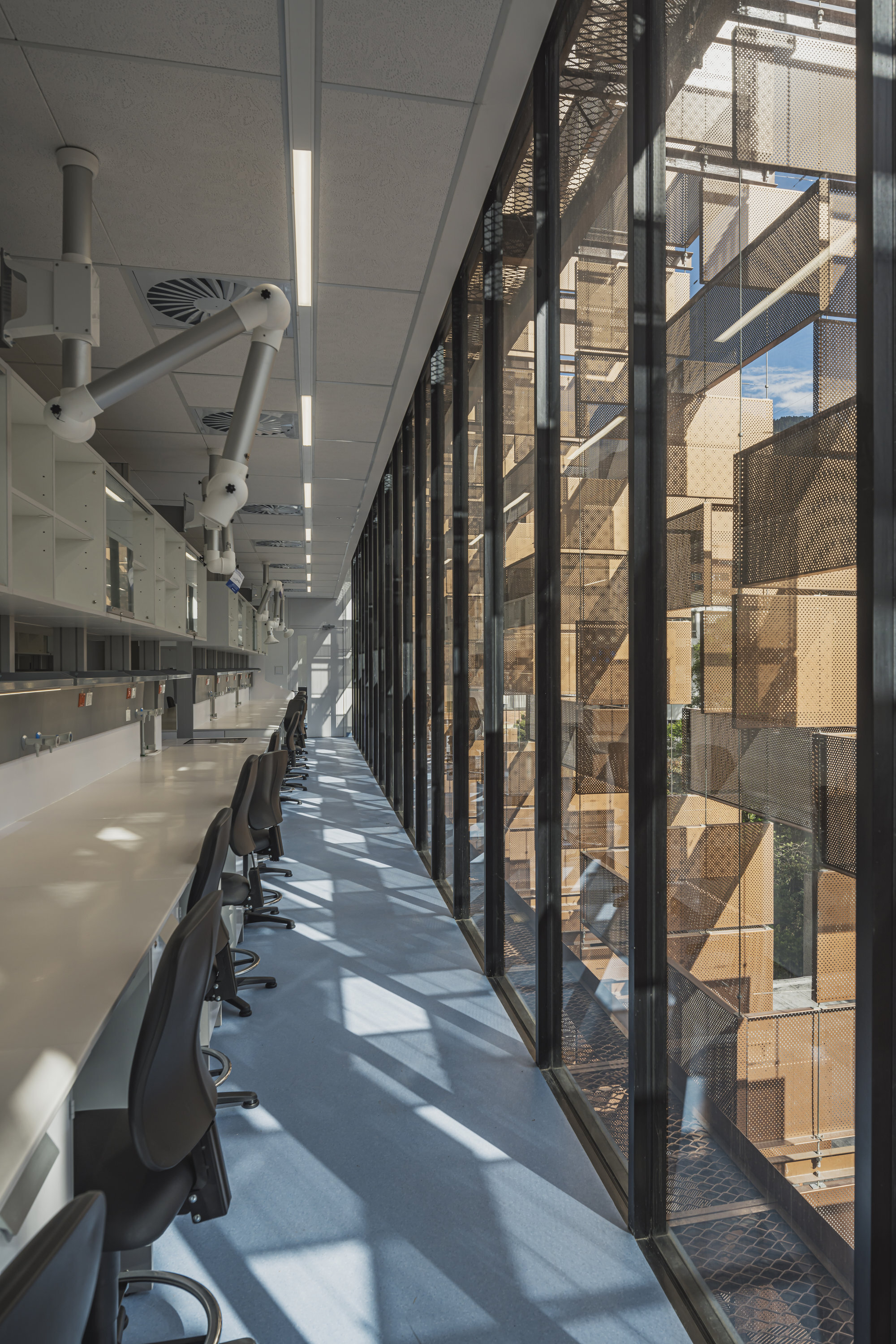 Faculty of Sciences - Pontifical Xavierian University / taller de arquitectura de bogotá-33