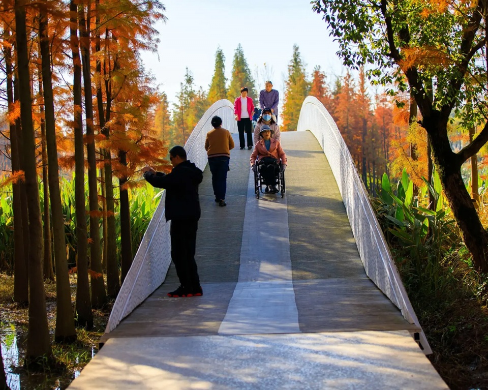 漂浮的森林:南昌市鱼尾洲公园丨中国南昌丨土人设计-47