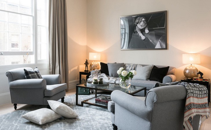 伦敦一居室公寓的斯堪的纳维亚风格混搭-2