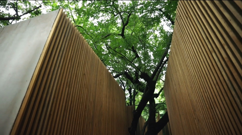 马格屋丨墨西哥丨Mauricio Ceballos X Architects-16