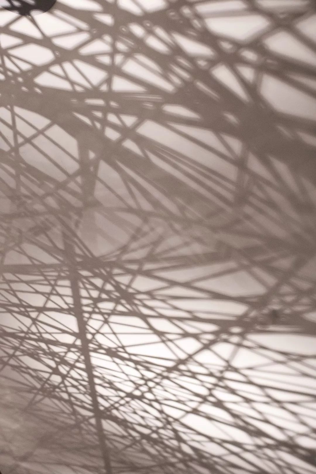 竹影清风,品味东方优雅——无锡山海津餐厅设计-12