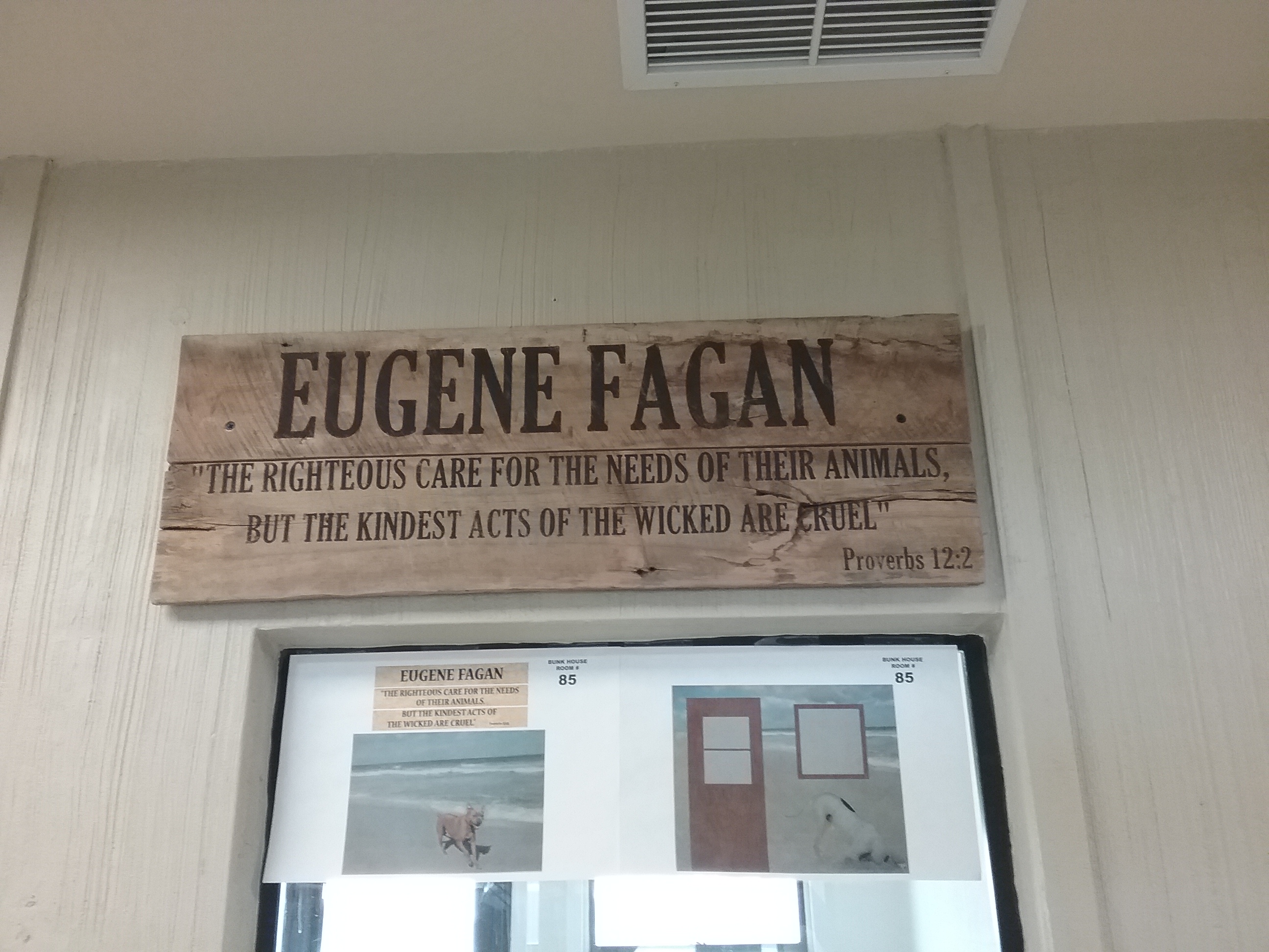 大狗牧场救援中心·室内设计的人性关怀-6