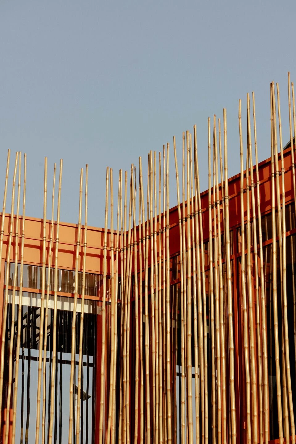 伊卡德非洲 卢旺达丨卢旺达-38