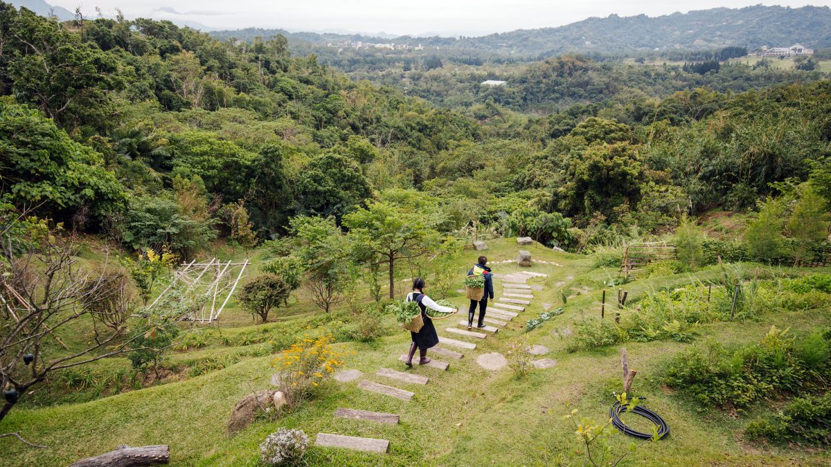 樸山村 - WEHOUSE-9