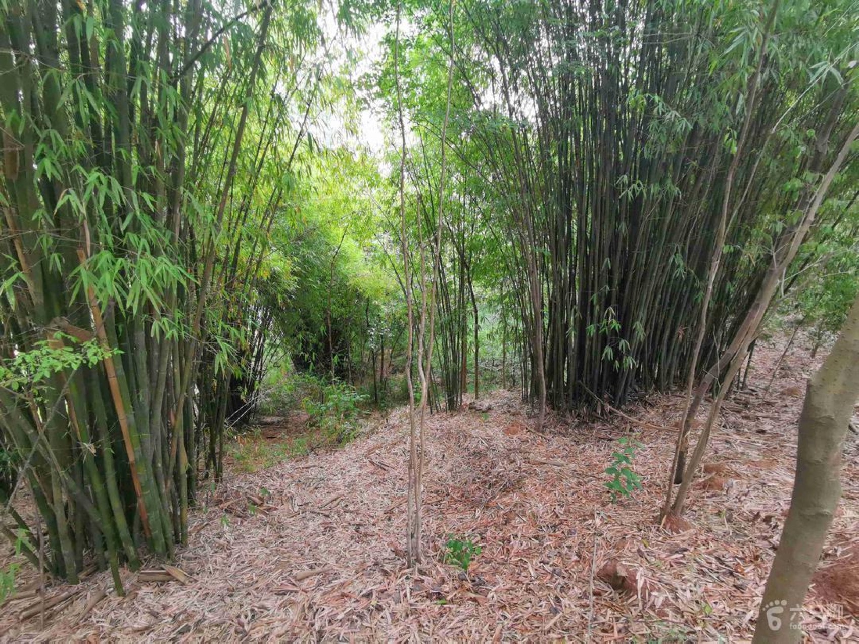 麓野公园丨中国成都丨四川乐道景观设计有限公司-219