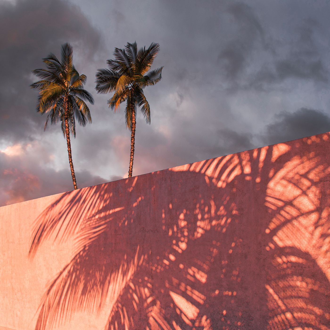 热带简约风格之作——"Paradise"-15