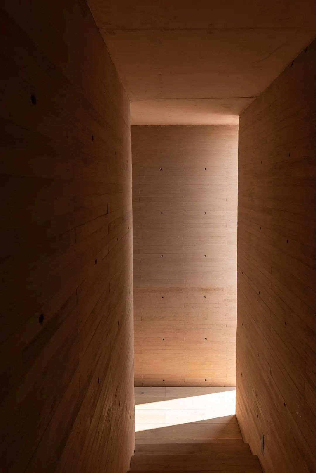 特霍科特之家丨墨西哥丨Gonzalez Muchow Arquitectos-56