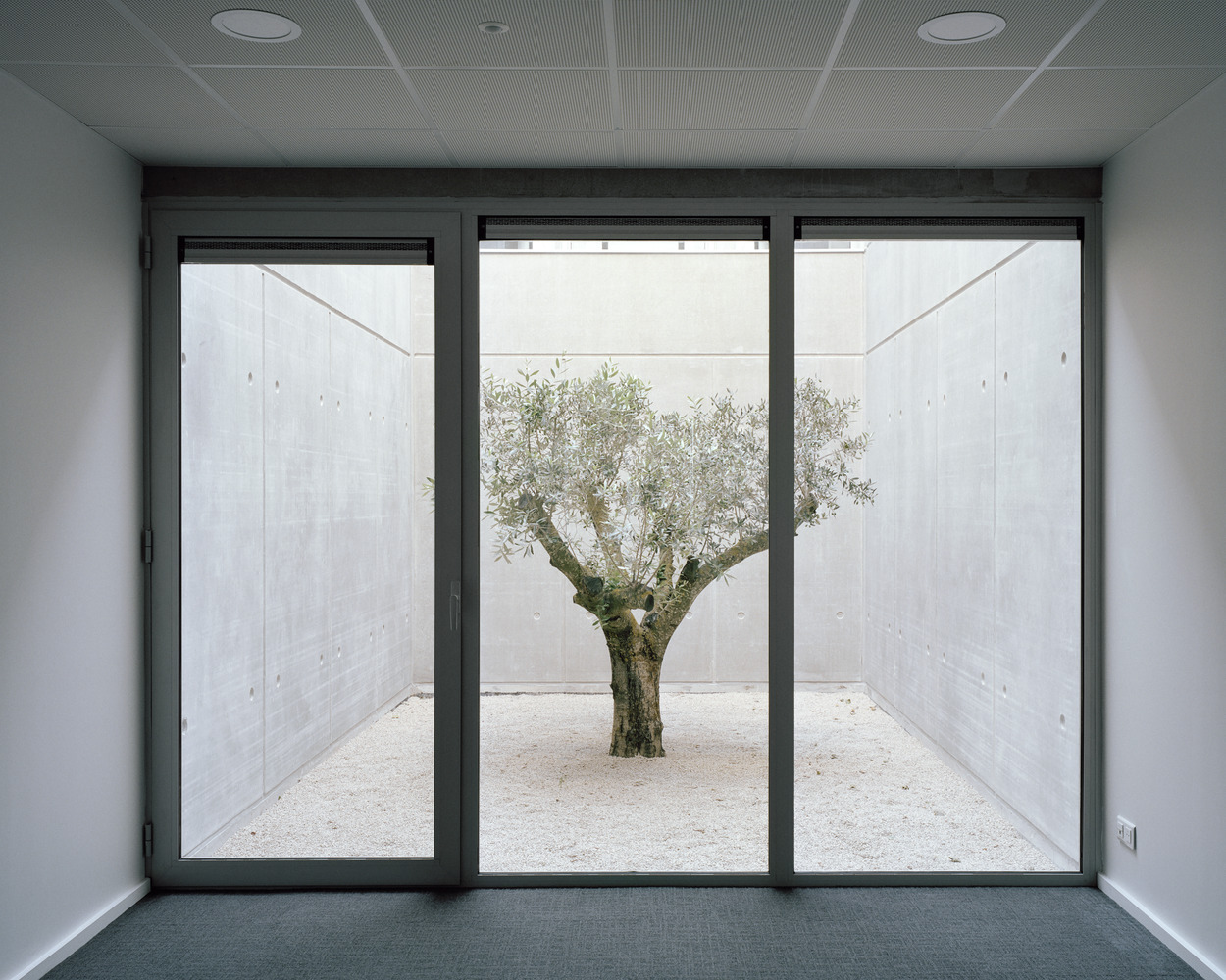 法国蒙彼利埃 MONOD II 办公楼丨Atelier EGR-35