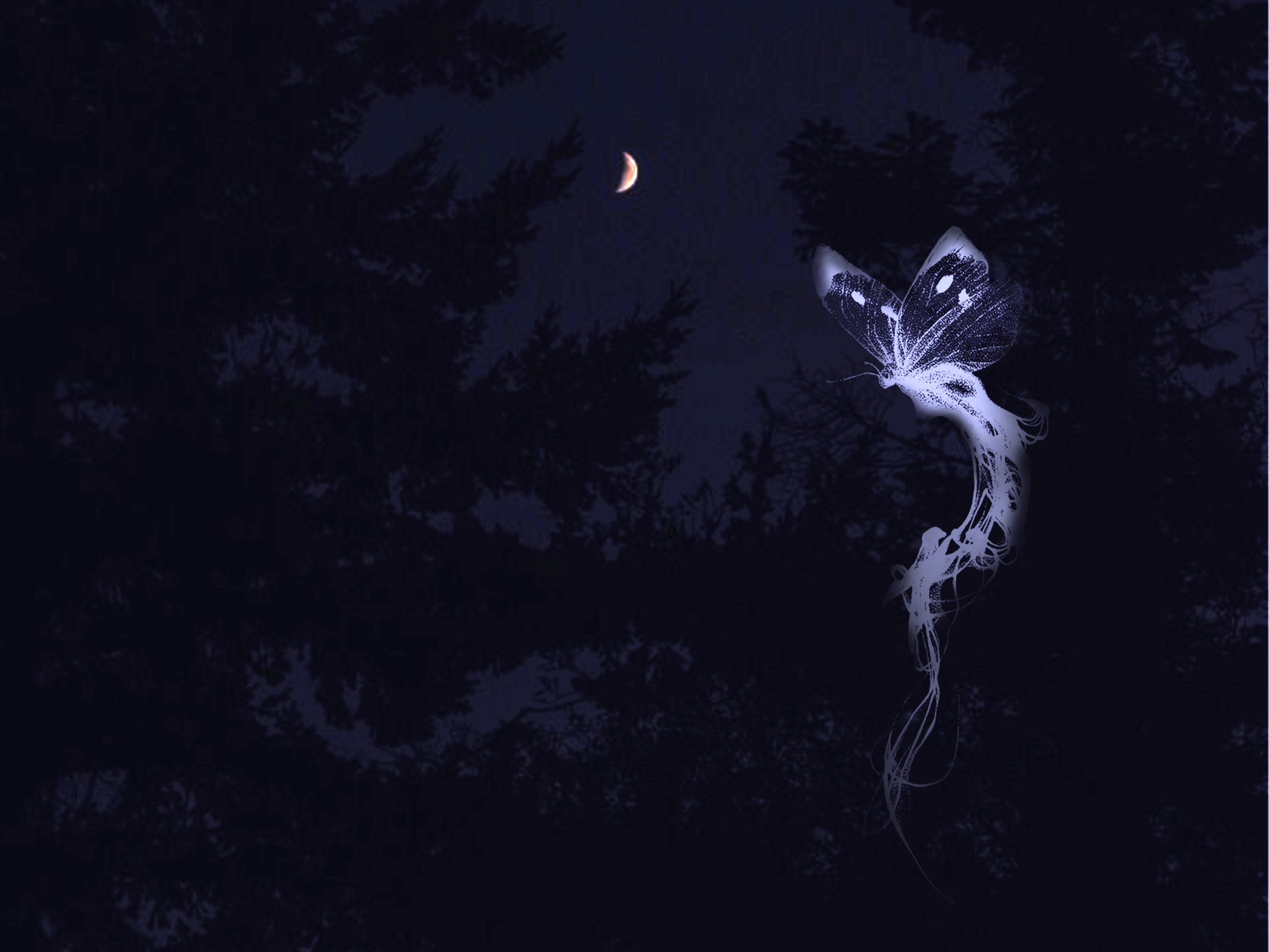 EP 别让这疯狂停止-19