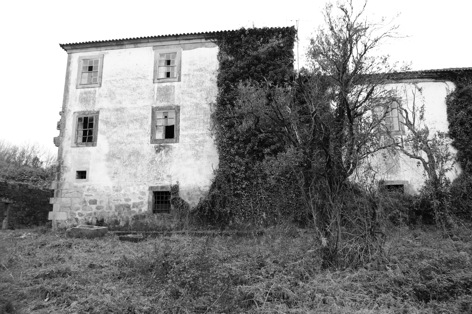 Paço de Vitorino(葡萄牙百年庄园酒店)-24