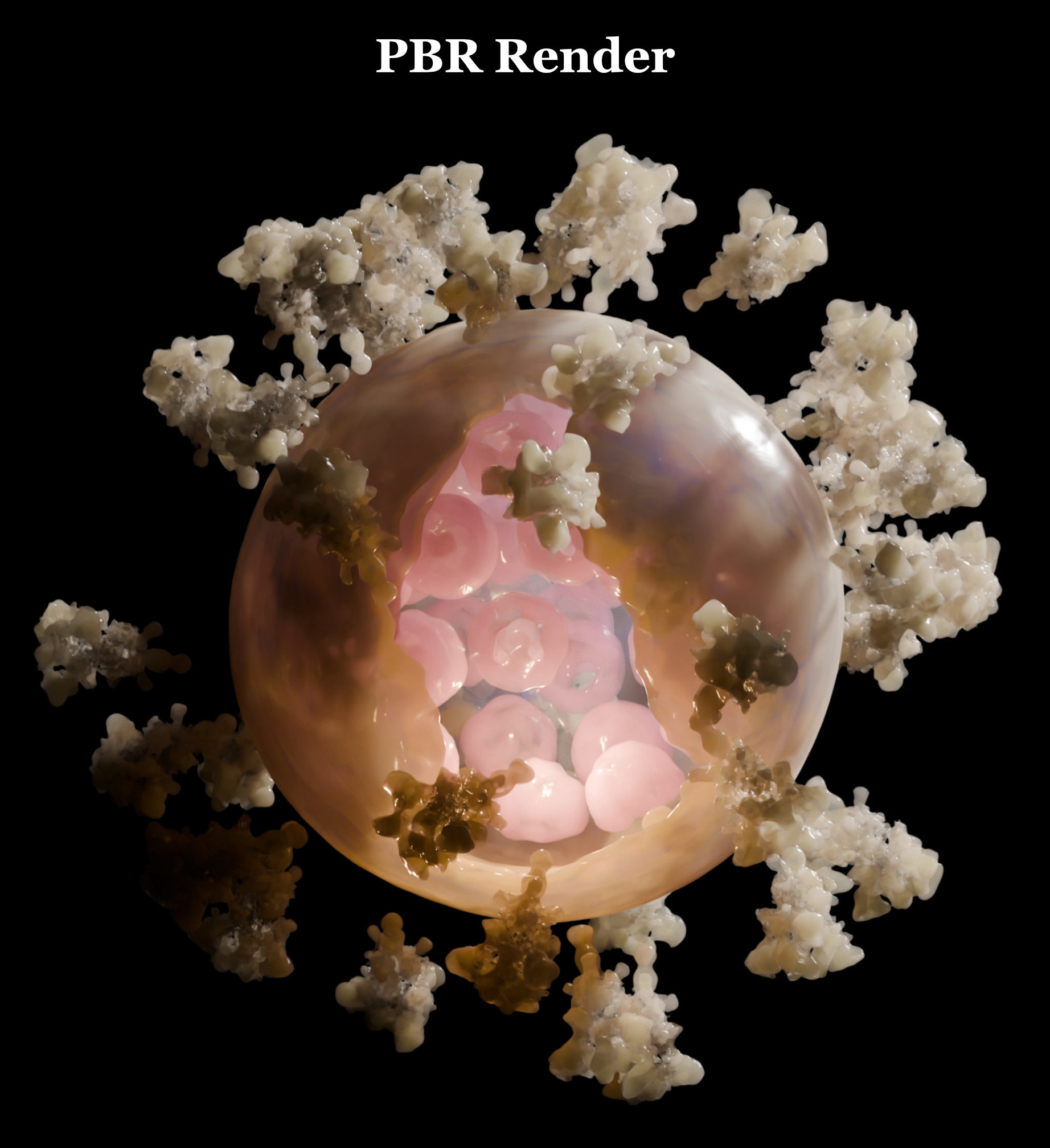 风格化生物学-23