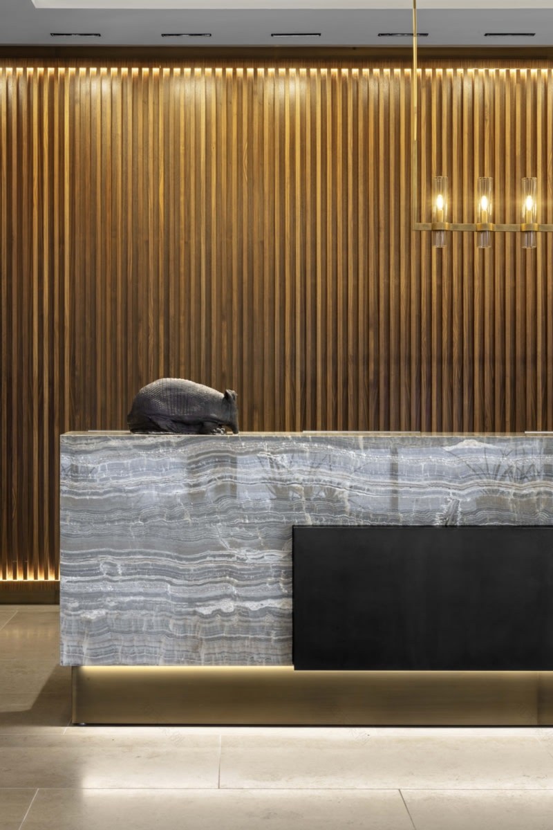 C· Baldwin 酒店丨美国丨Rottet Studio-9